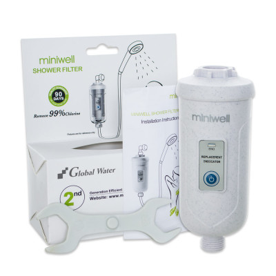 Фільтр для душу Global Water L730
